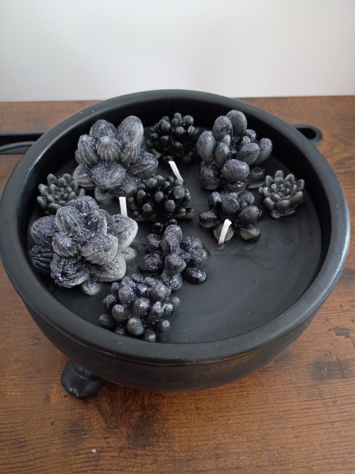 Black Cauldron Succulent Garden