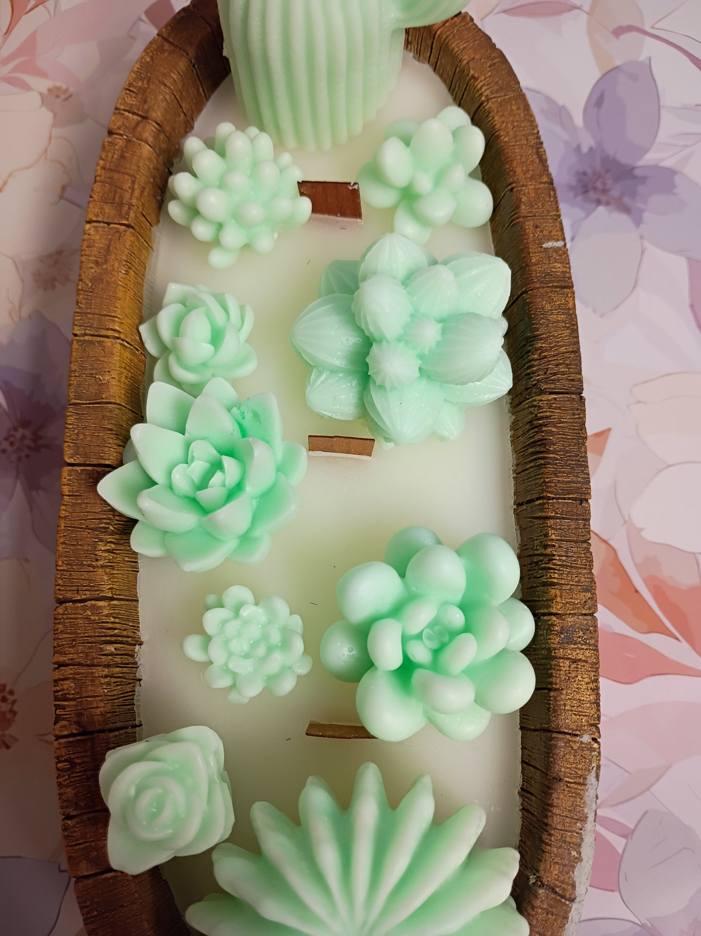 Green Velvet Woods Succulent Garden in Ceramic Bowl