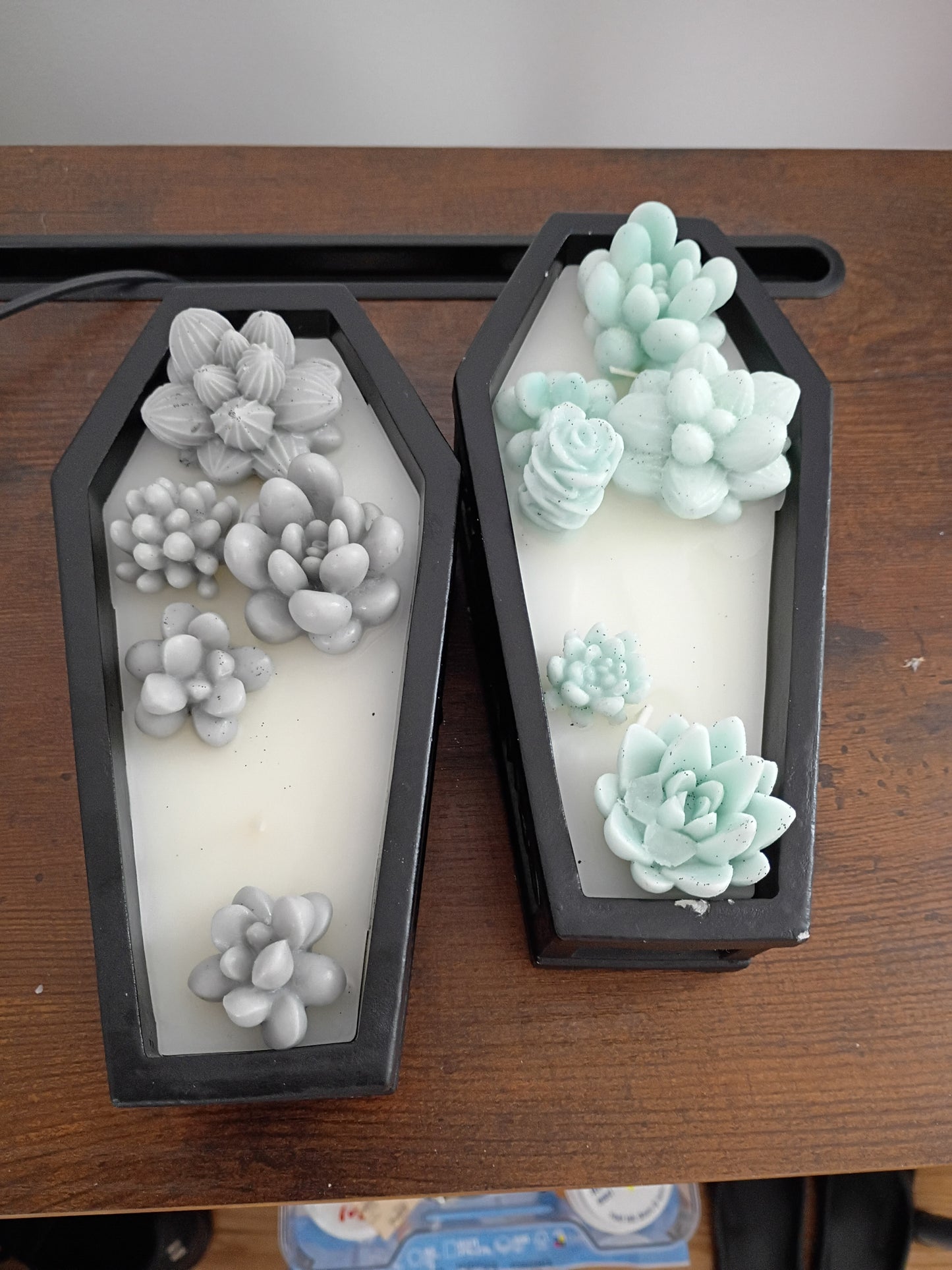Coffin Succulent Garden