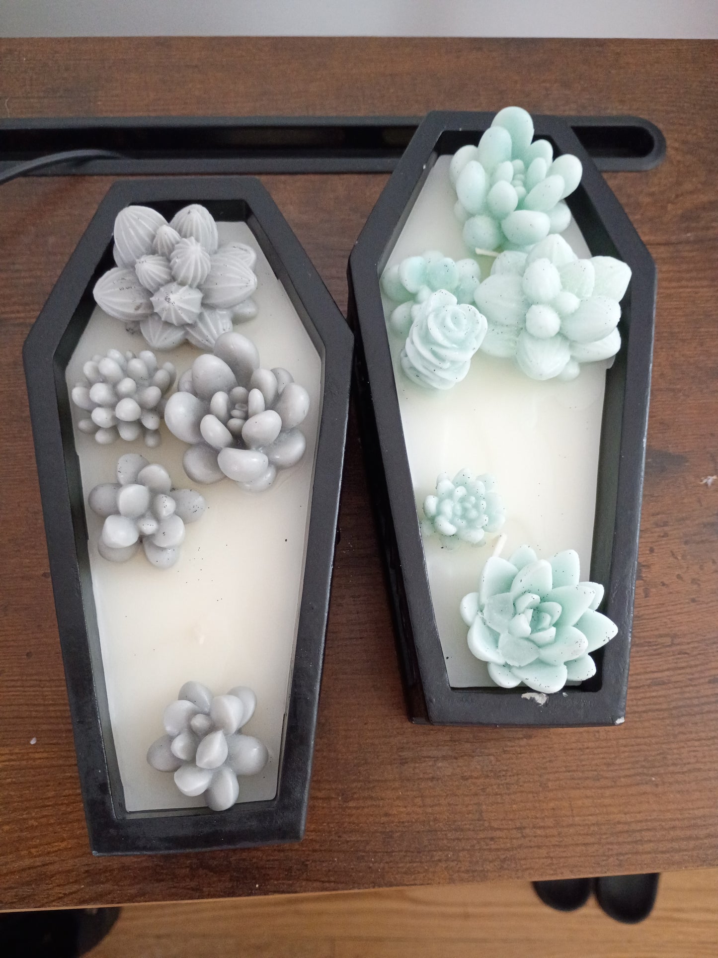 Coffin Succulent Garden