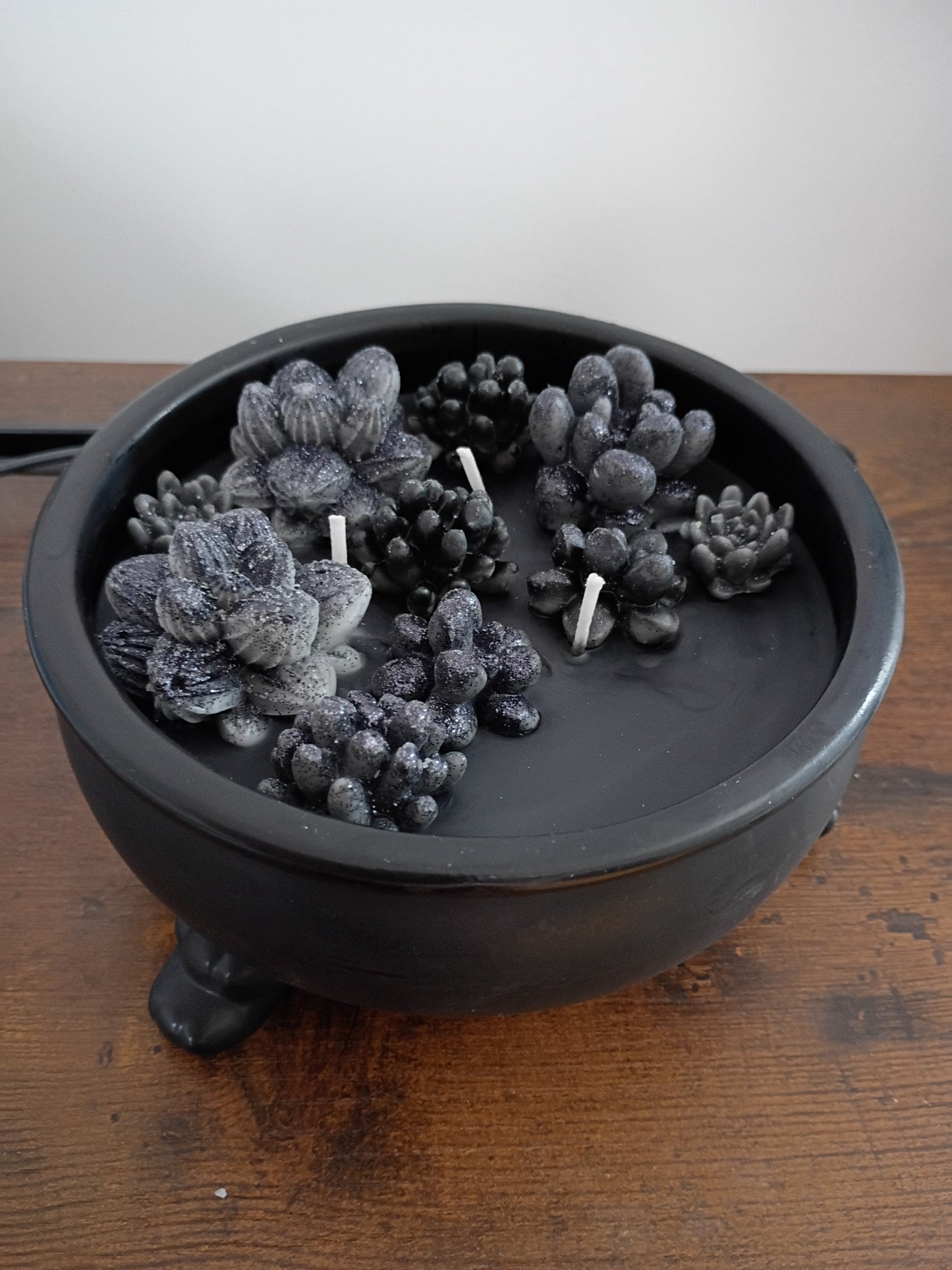 Black Cauldron Succulent Garden