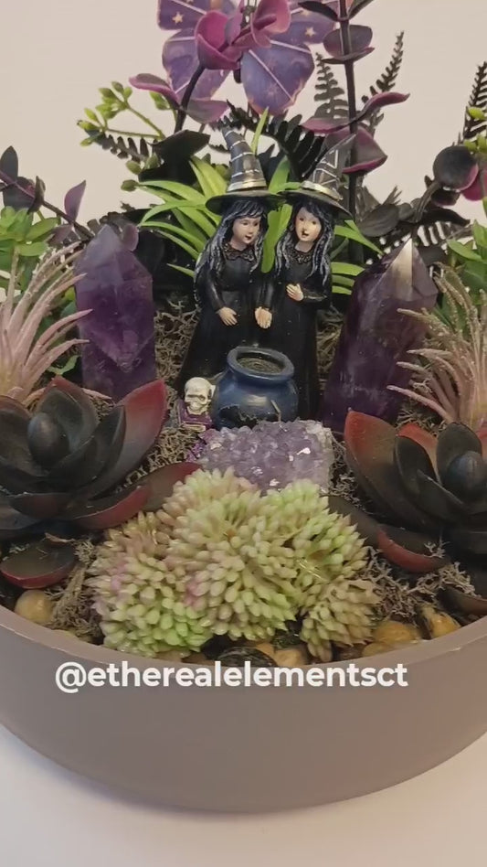 Amethyst Witches Succulent Garden