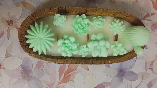 Green Velvet Woods Succulent Garden in Ceramic Bowl