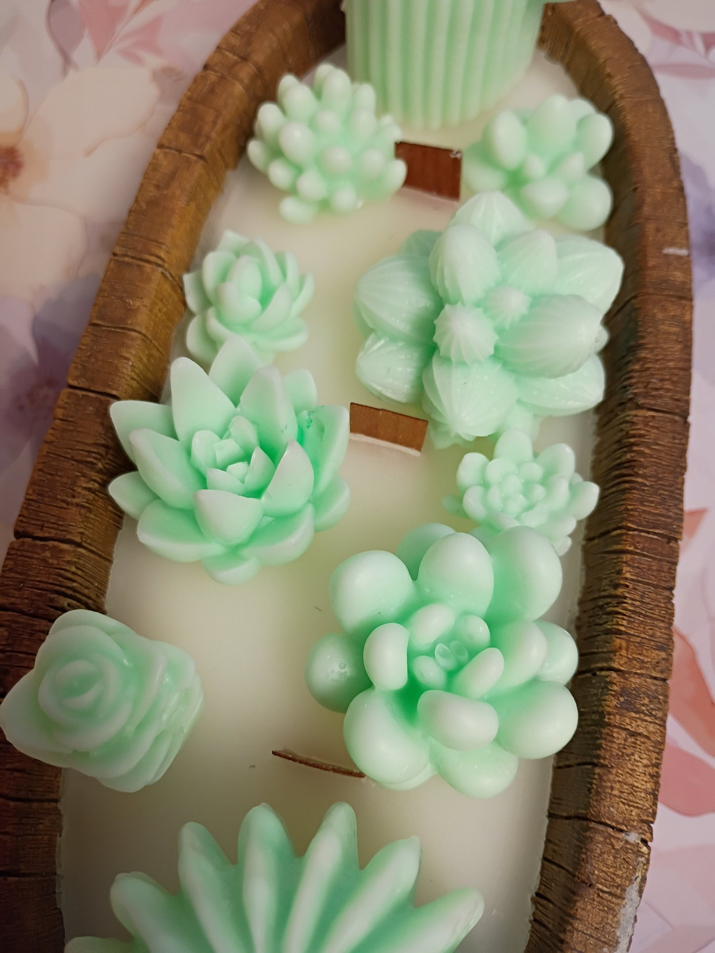 Green Velvet Woods Succulent Garden in Ceramic Bowl