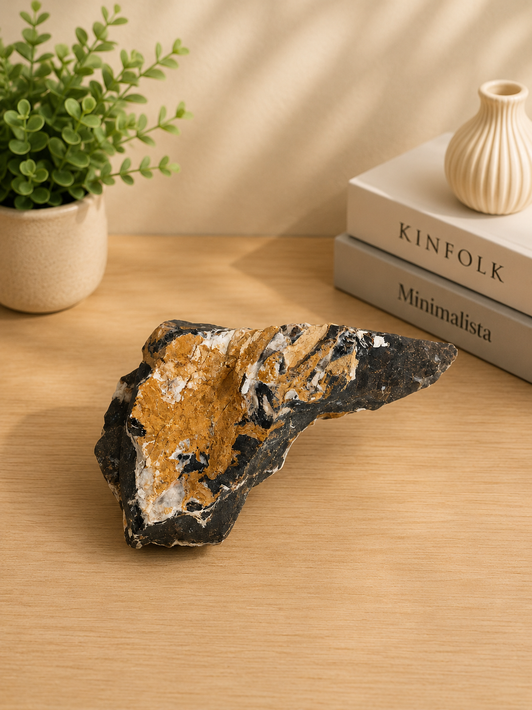Parker Petrified Wood
