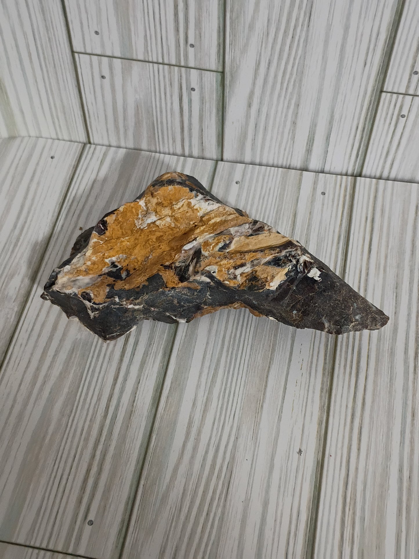 Parker Petrified Wood