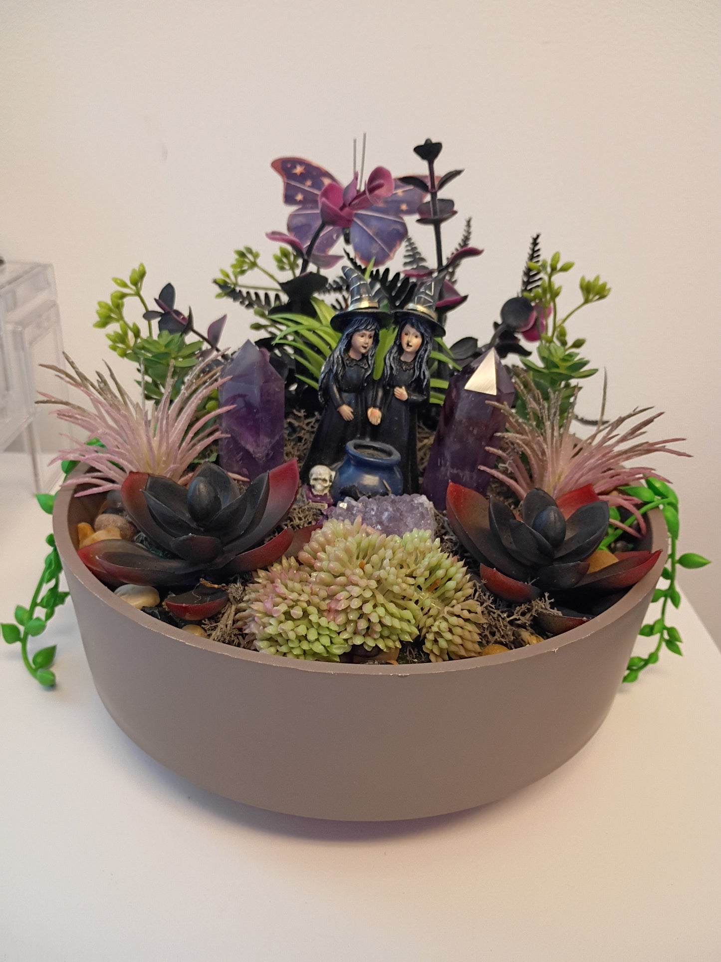 Amethyst Witches Succulent Garden