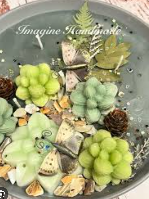 Lemon Sage 8" Bowl Candle w/ Succulents
