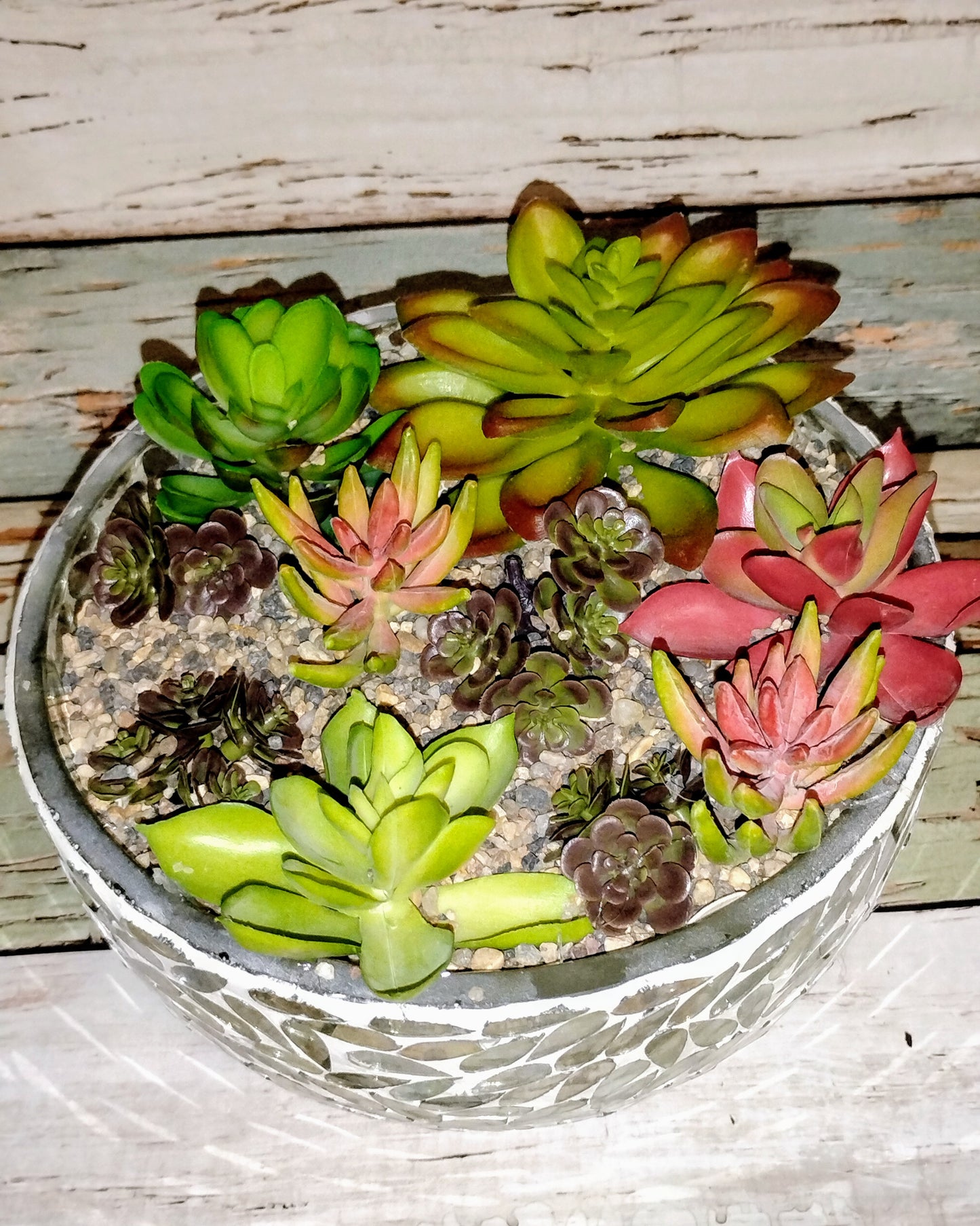 Scenic Succulent Candle in Mosaic Container