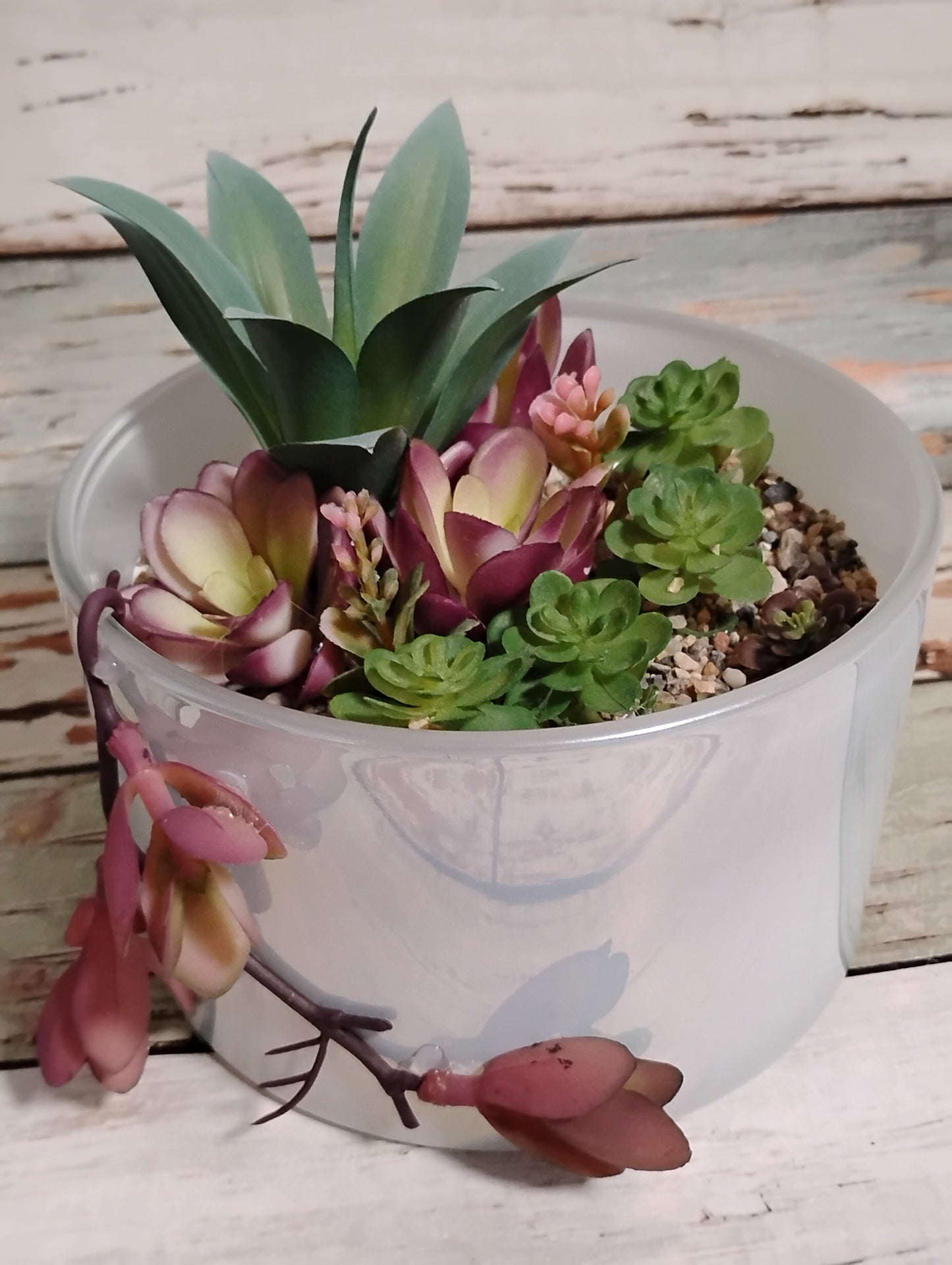 Purple Draping Succulent Garden 15oz