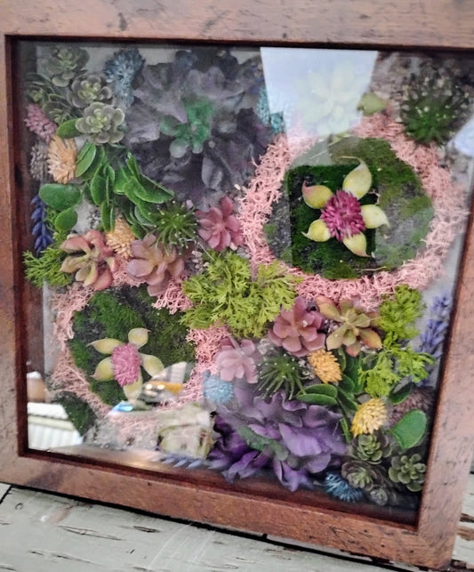 Moss & Succulents Wall Garden 9x9"