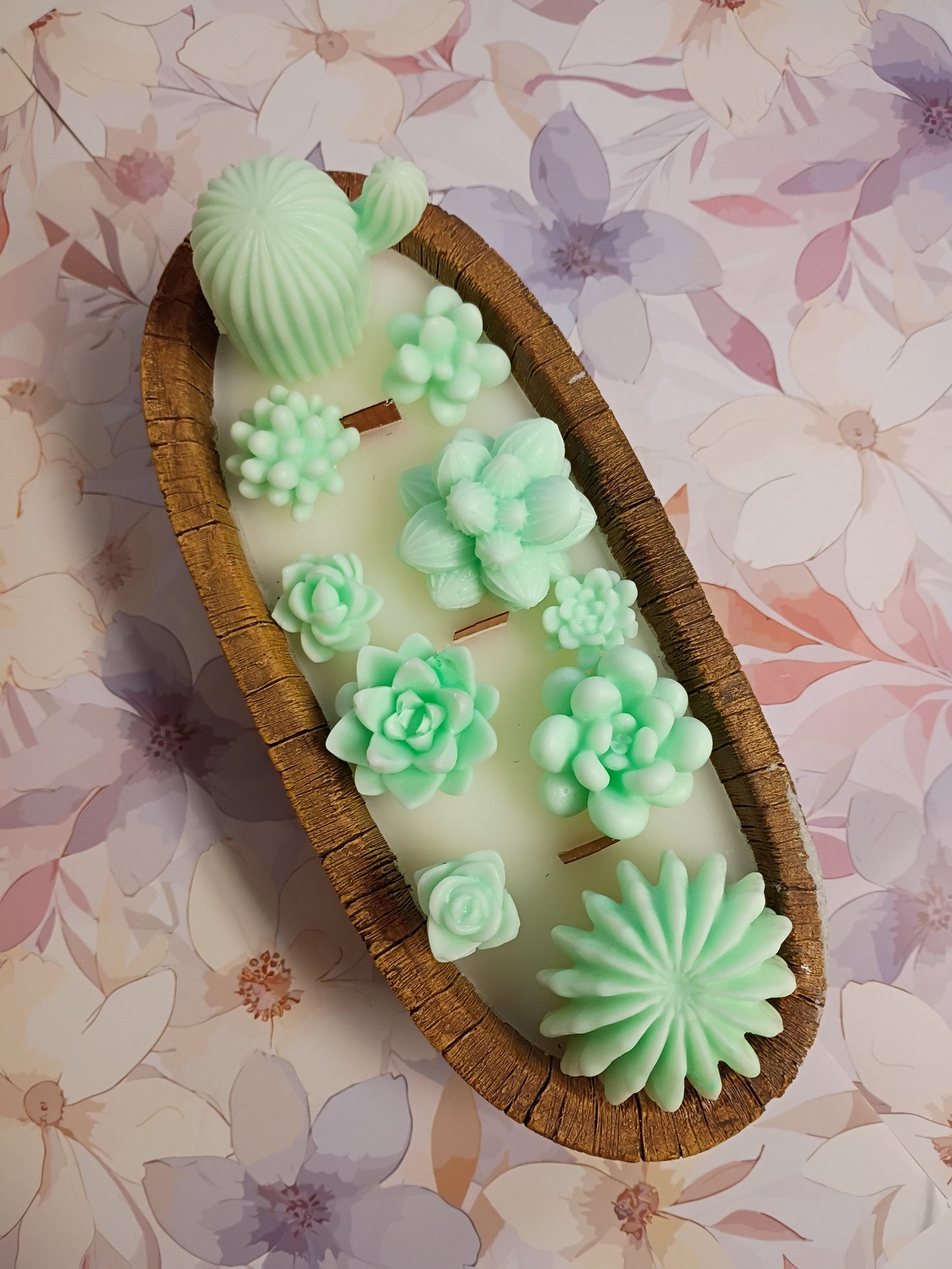 Green Velvet Woods Succulent Garden in Ceramic Bowl