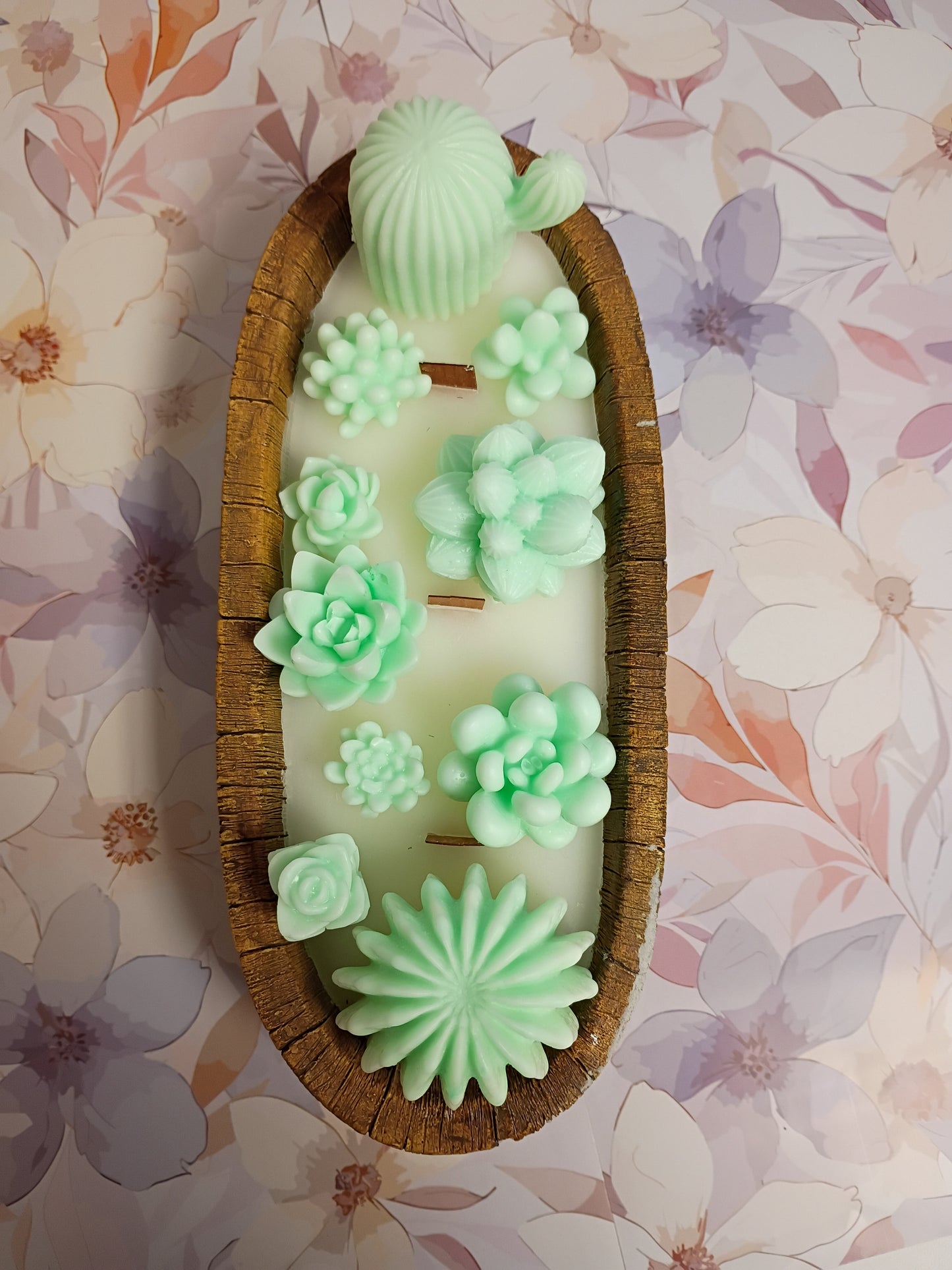 Green Velvet Woods Succulent Garden in Ceramic Bowl