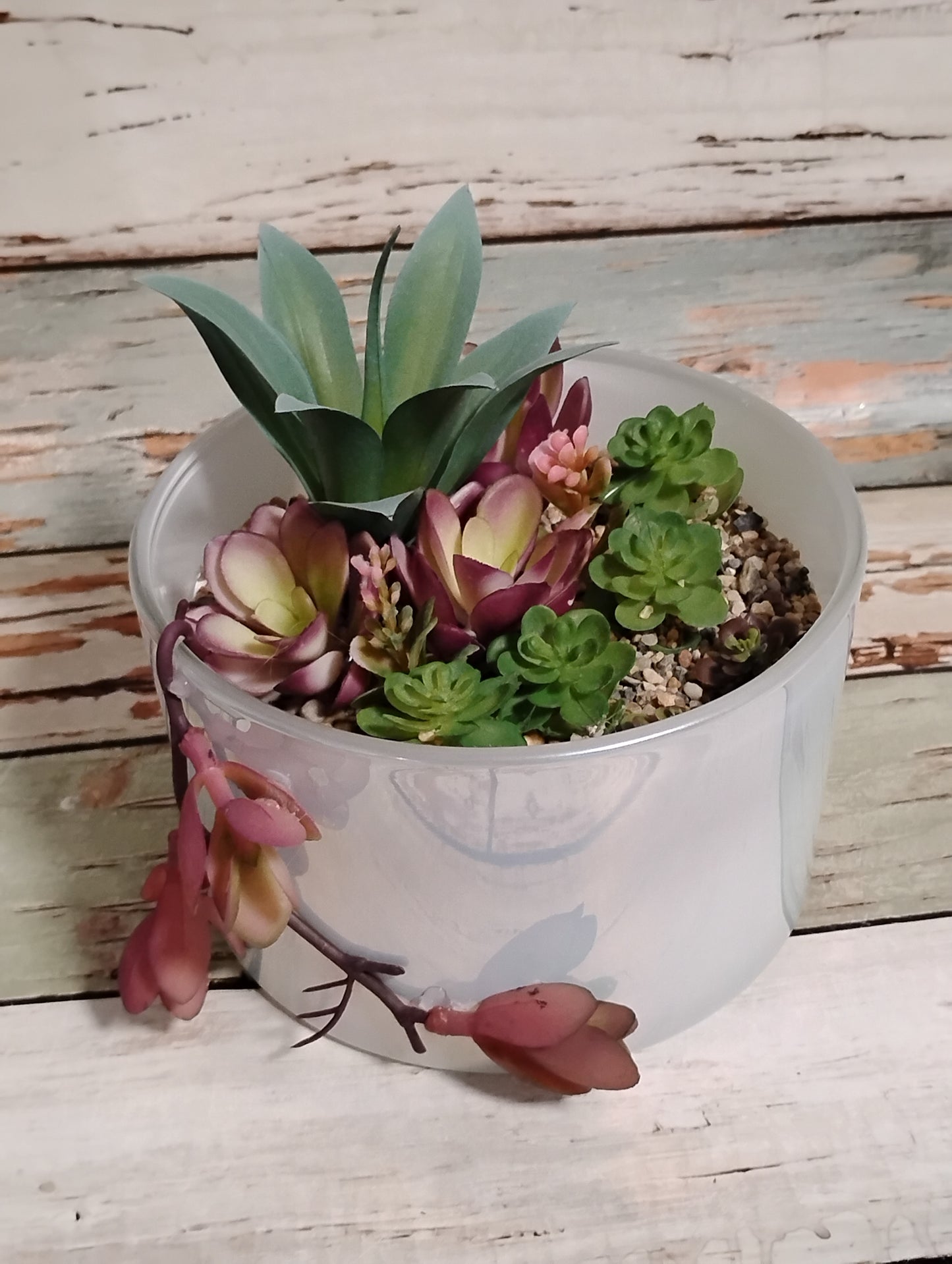 Purple Draping Succulent Garden 15oz