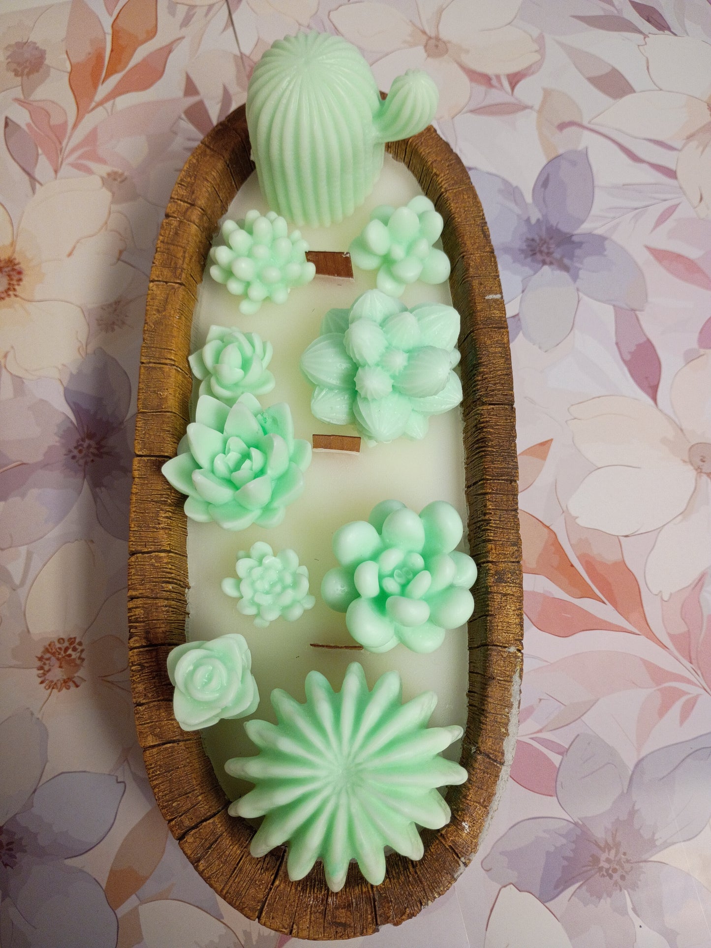 Green Velvet Woods Succulent Garden in Ceramic Bowl