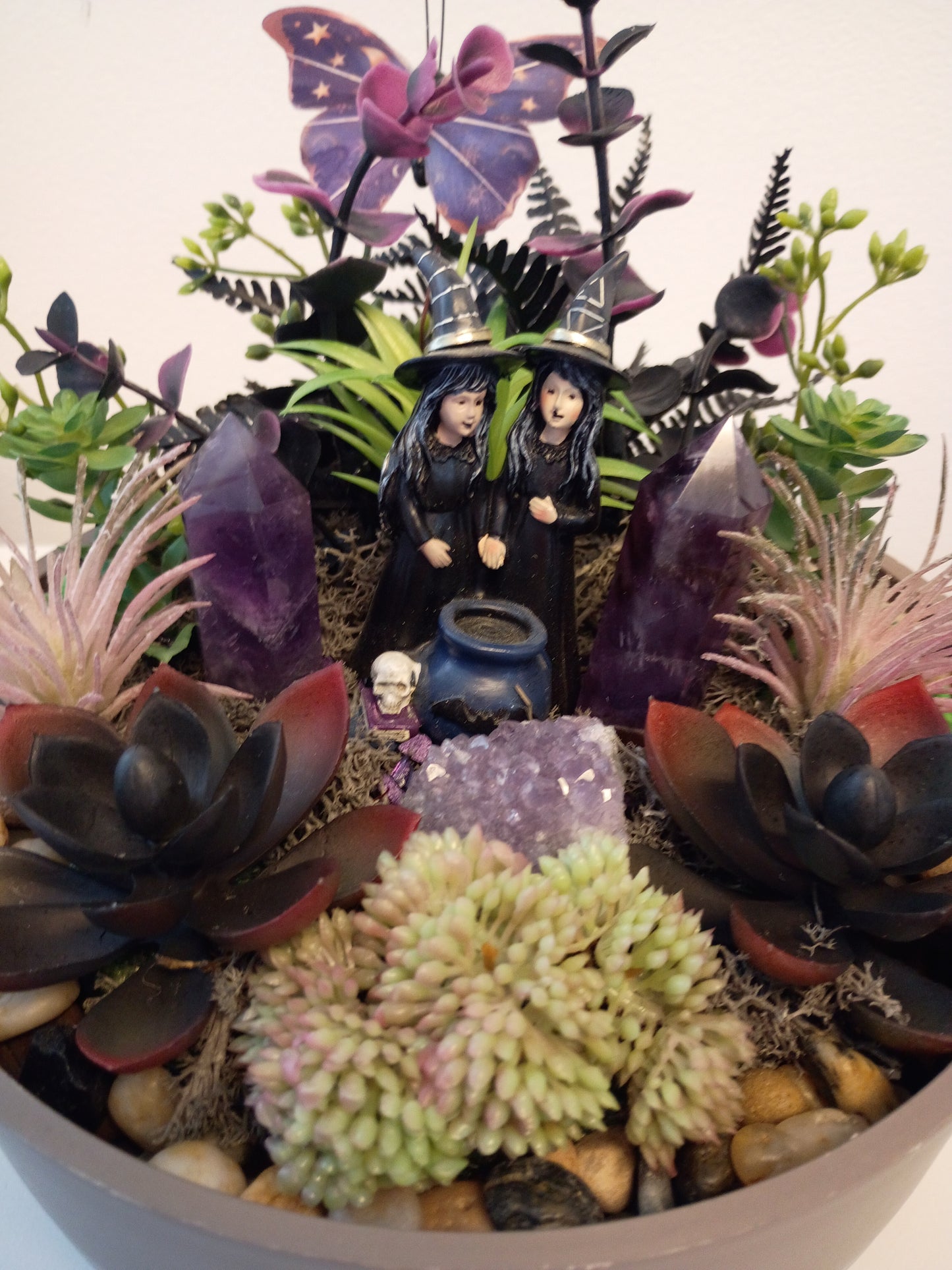 Amethyst Witches Succulent Garden