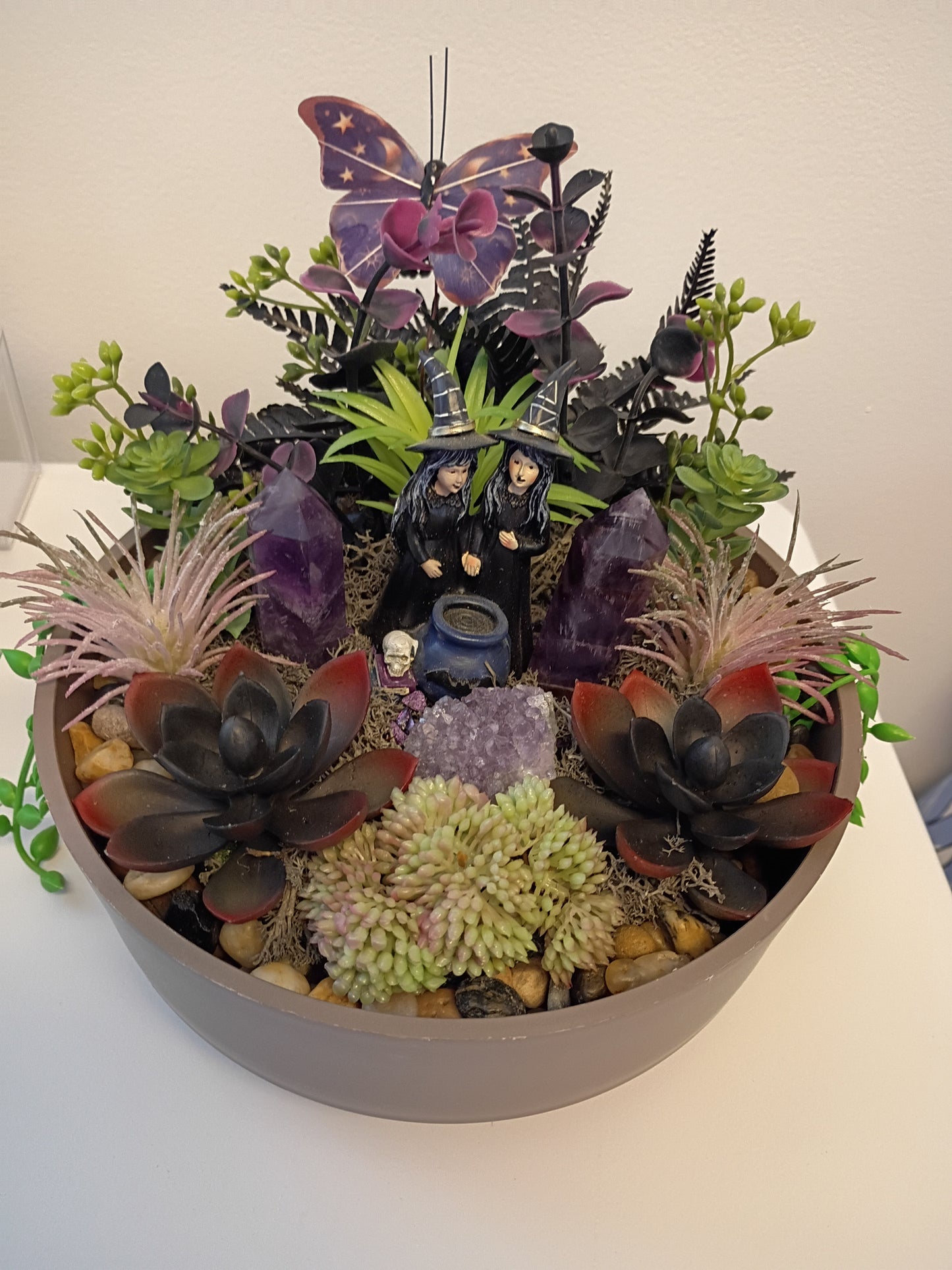 Amethyst Witches Succulent Garden