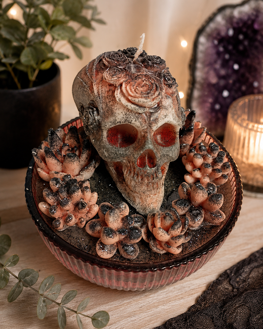 Pink Druzy Gothic Succulent Garden, Amber Firewood