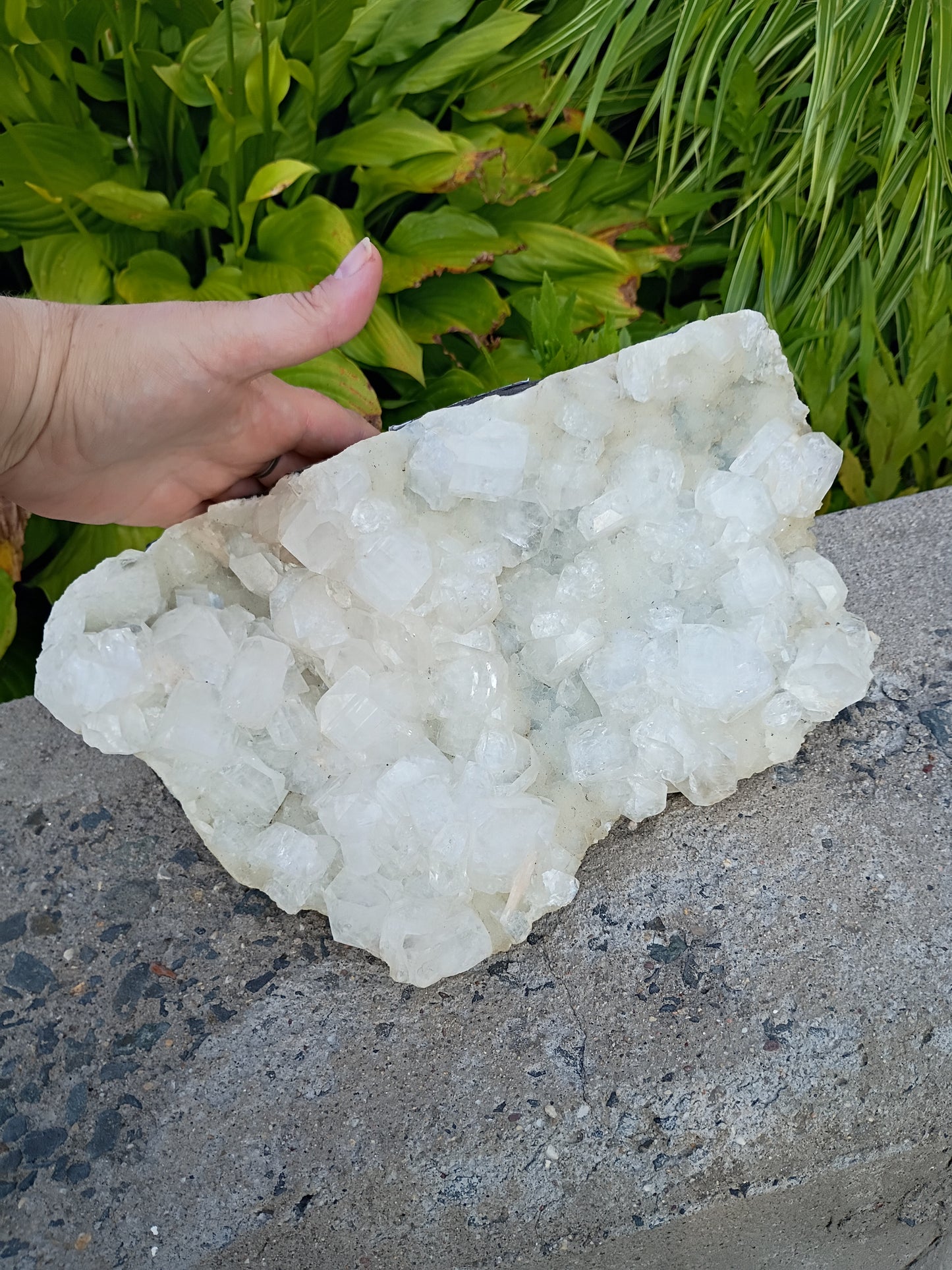 6kg Apophyllite