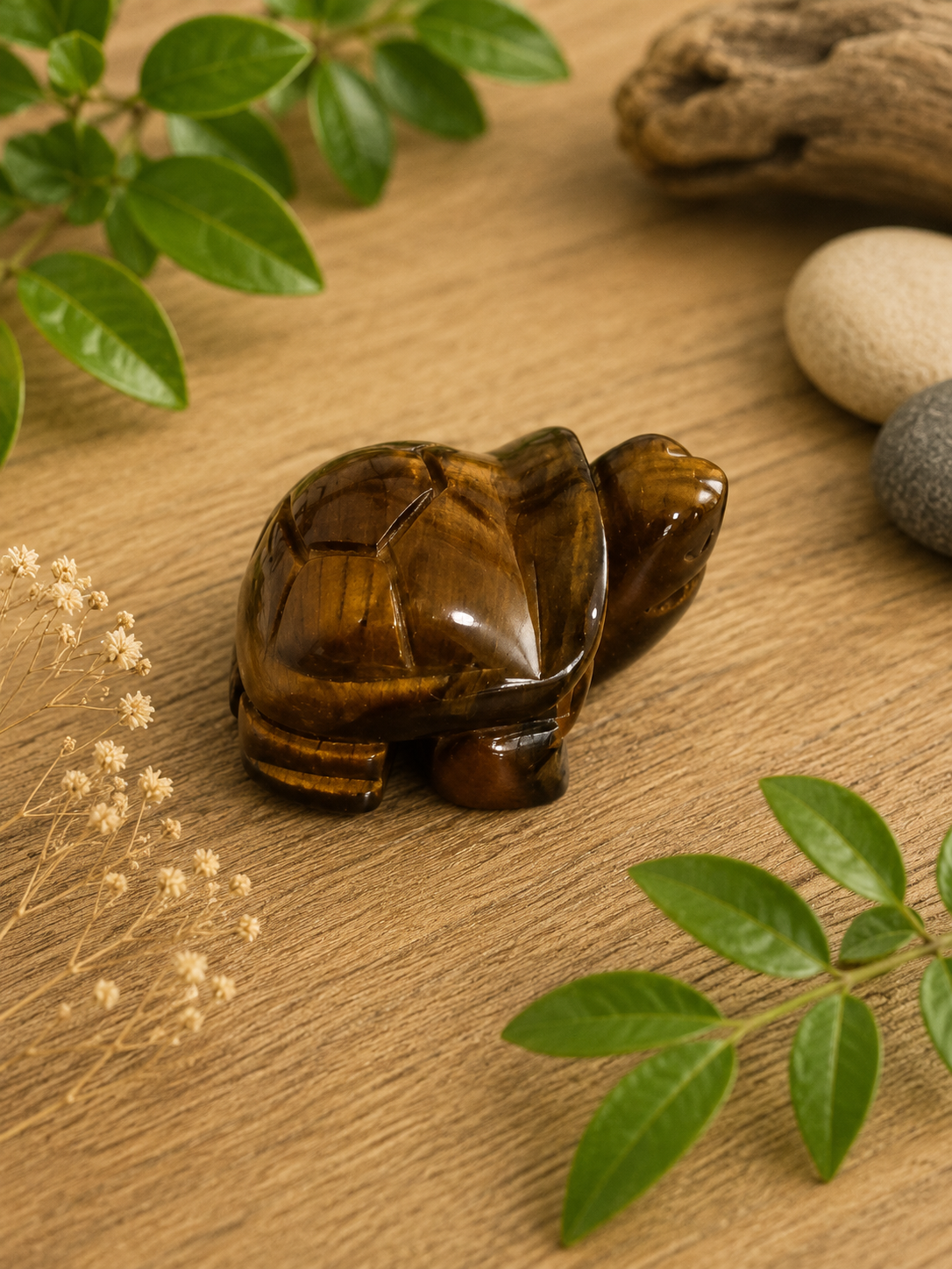 Tiger Eye Turtle