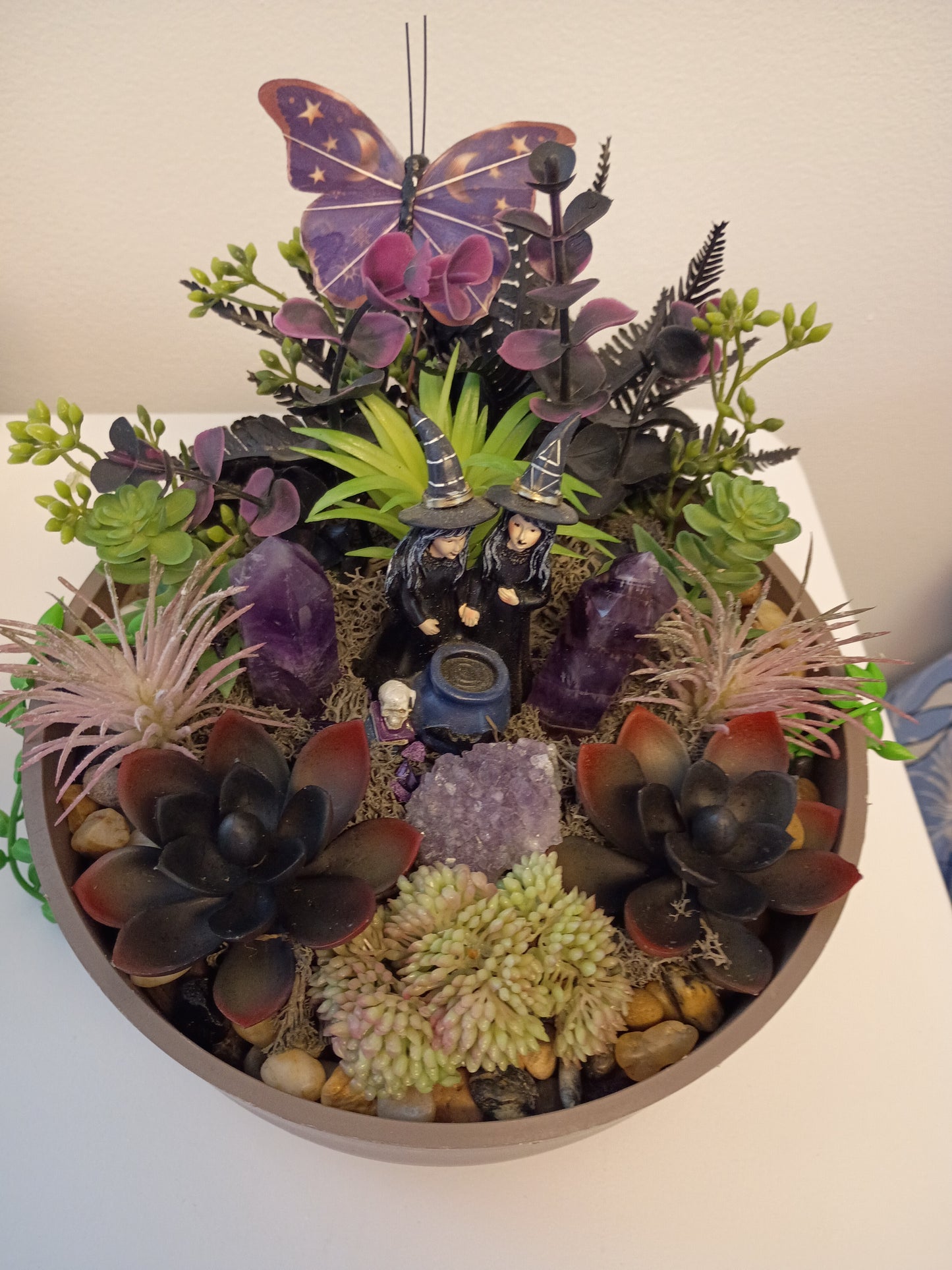 Amethyst Witches Succulent Garden