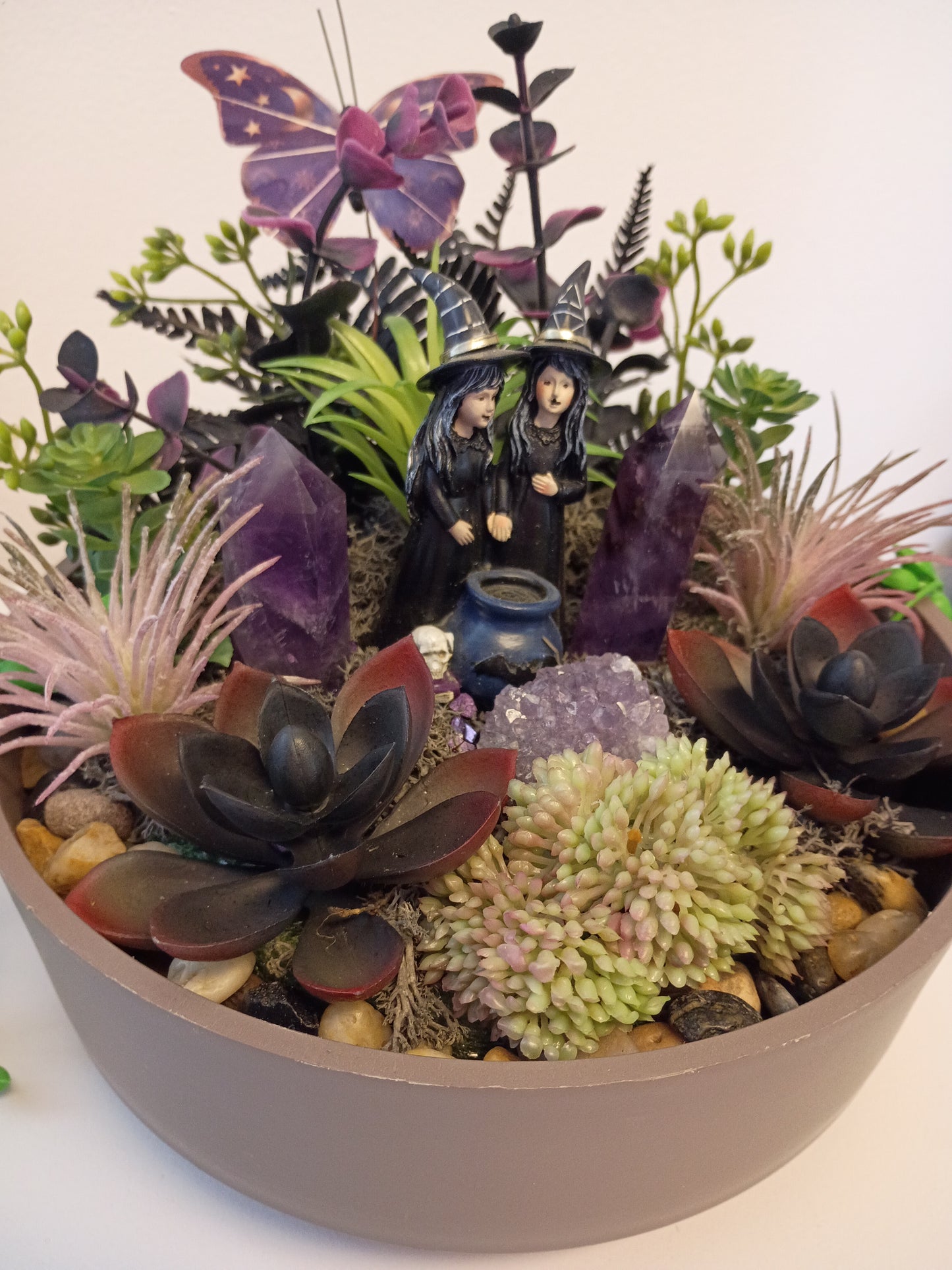 Amethyst Witches Succulent Garden