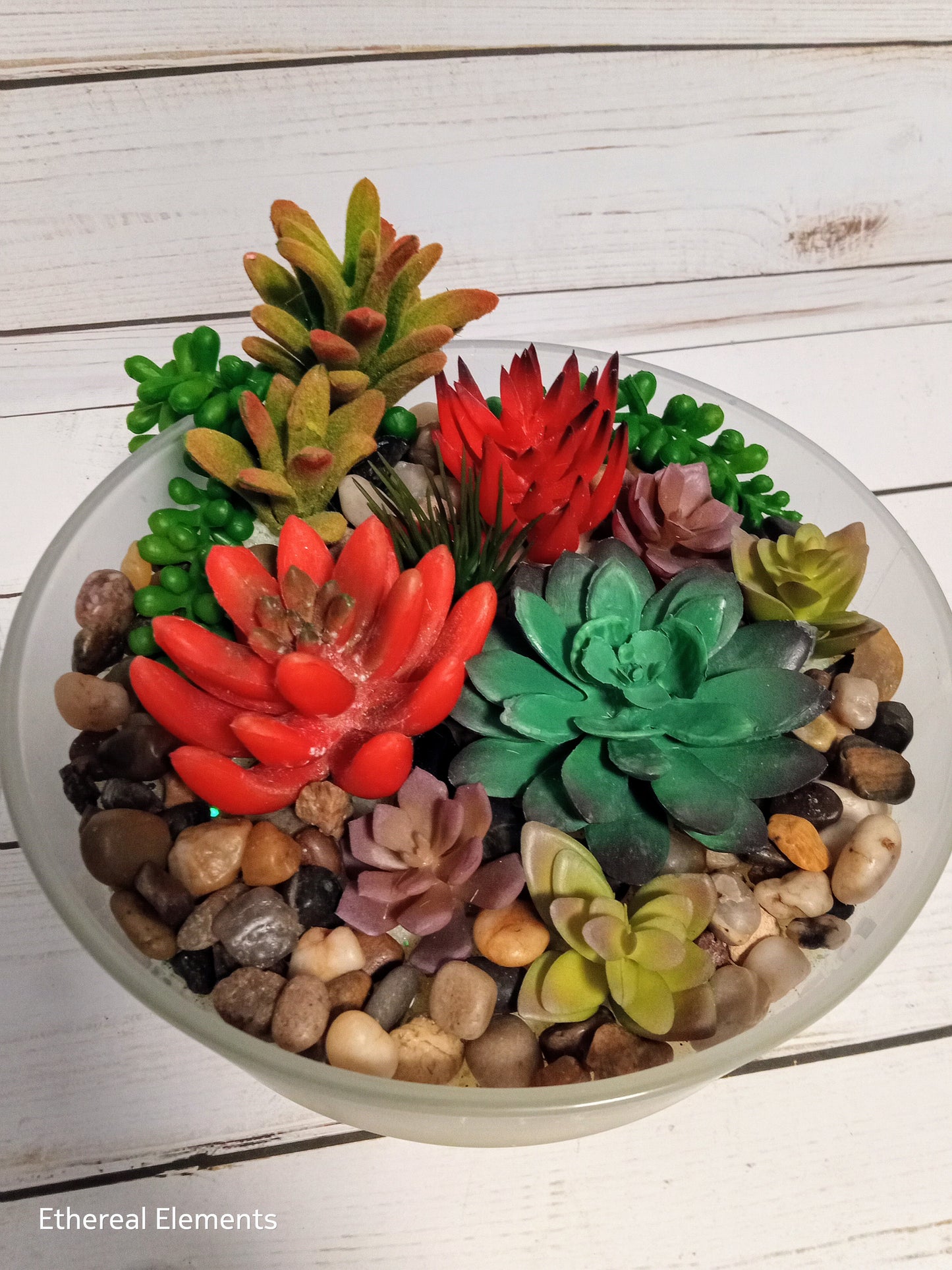 Red Scenic Succulent Candle w/ Stones