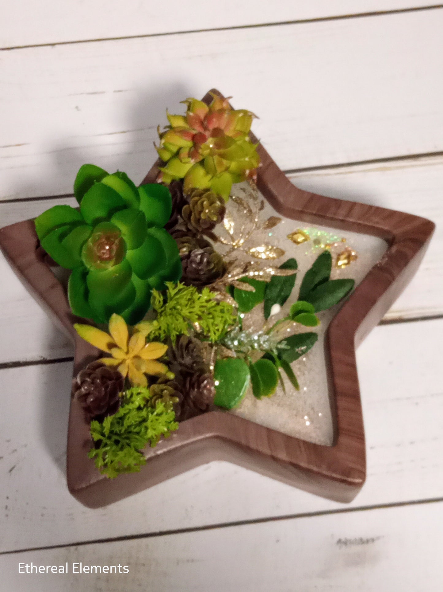 Scenic Succulent Star 25oz