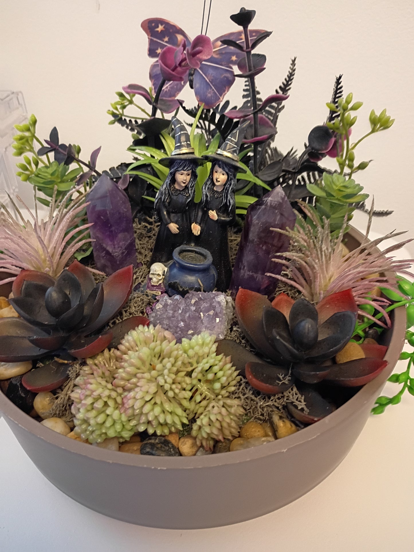 Amethyst Witches Succulent Garden