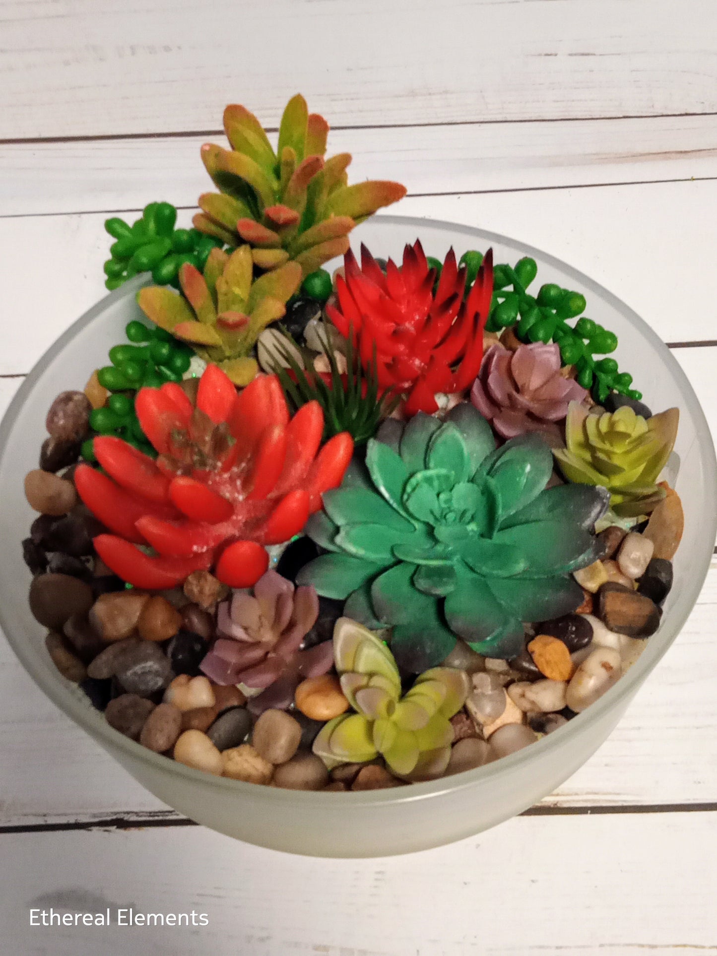 Red Scenic Succulent Candle w/ Stones