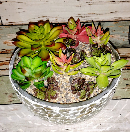 Scenic Succulent Candle in Mosaic Container