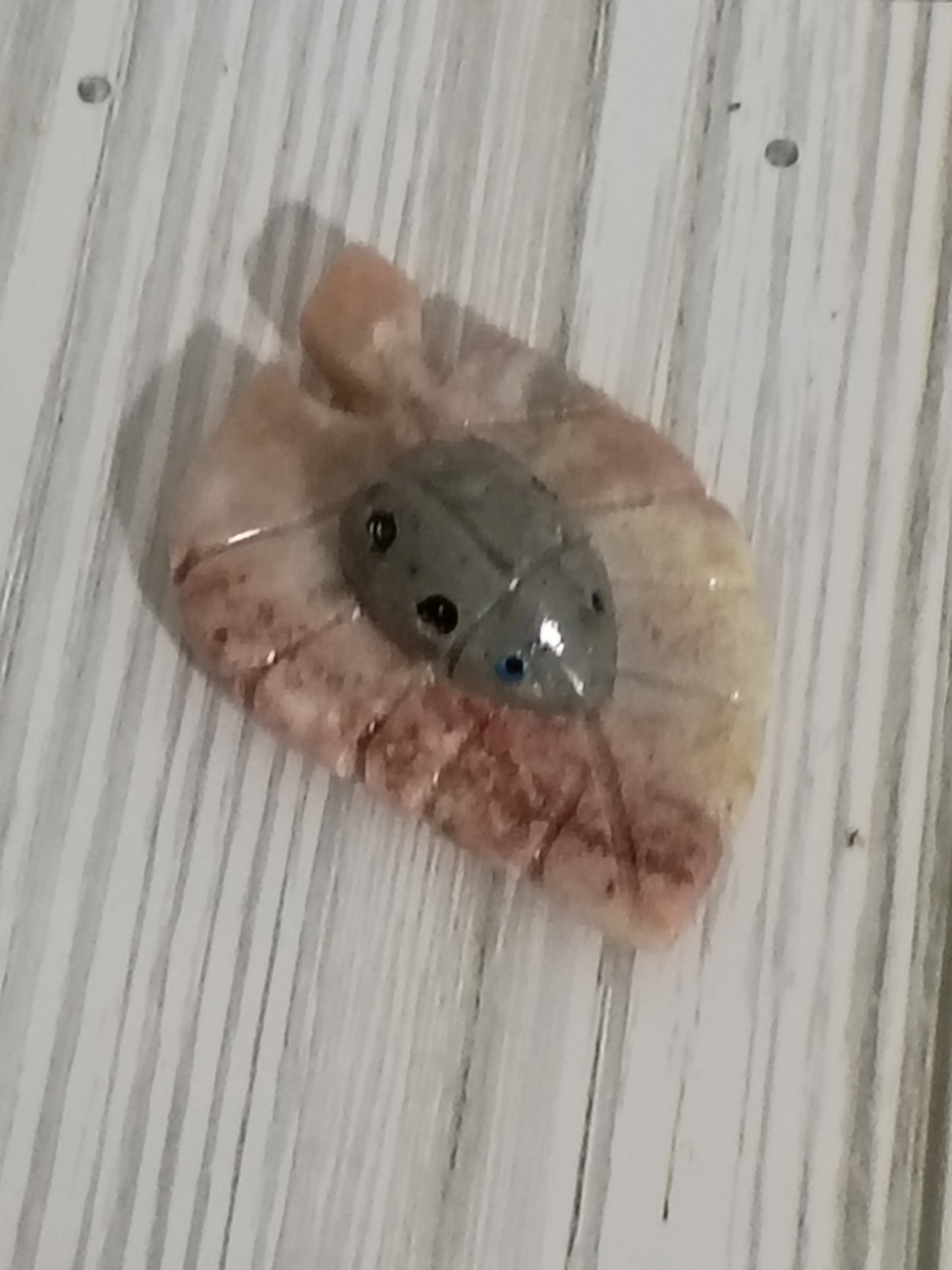 Ladybug on Leaf, Soapstone