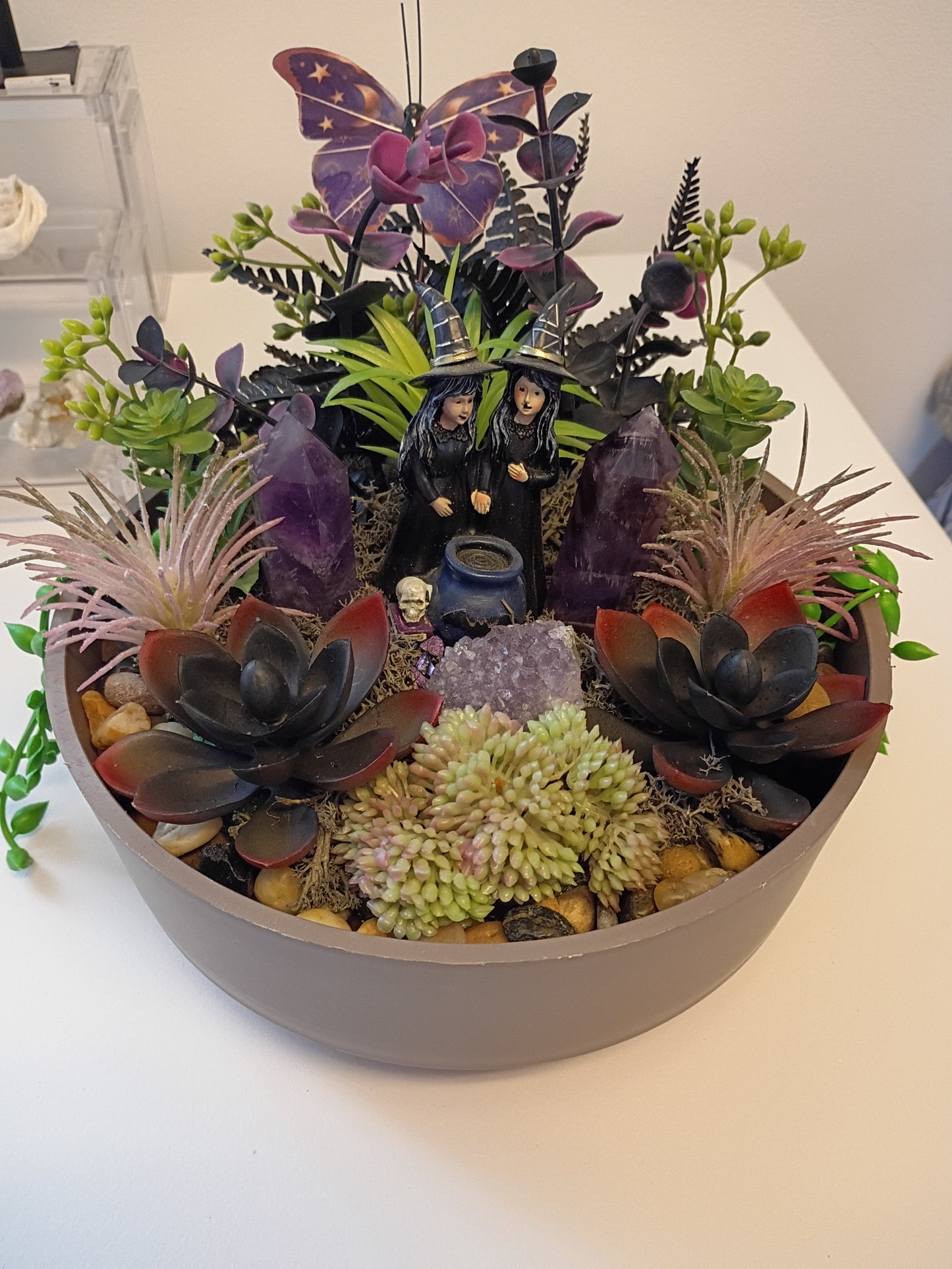 Amethyst Witches Succulent Garden