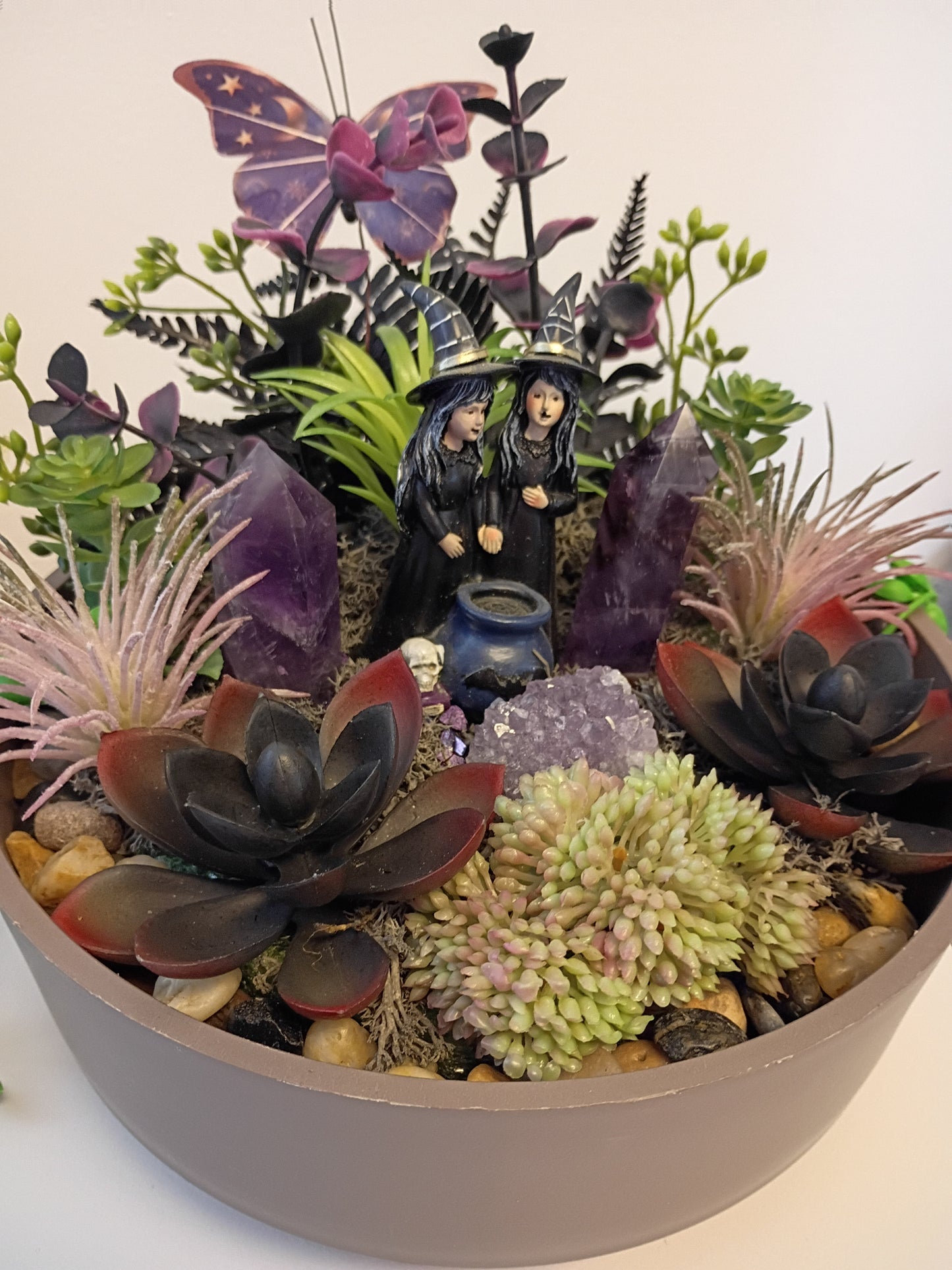 Amethyst Witches Succulent Garden