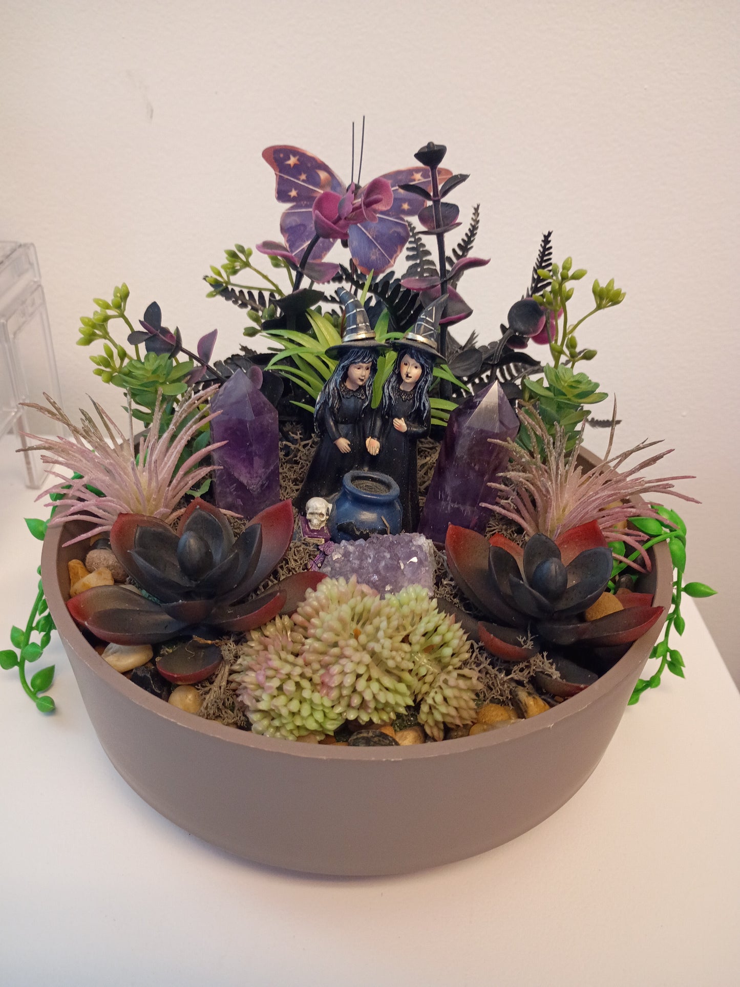 Amethyst Witches Succulent Garden