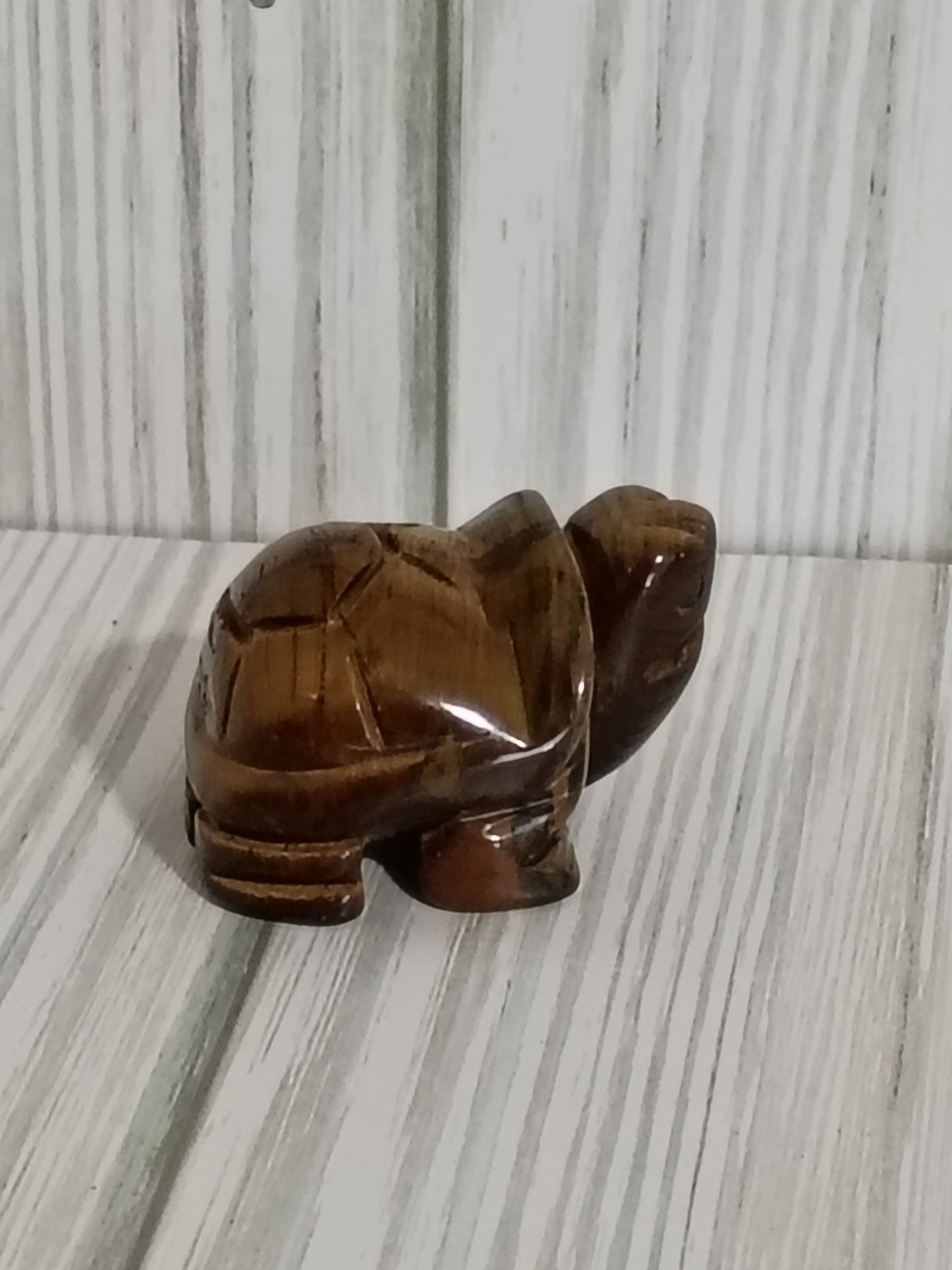 Tiger Eye Turtle