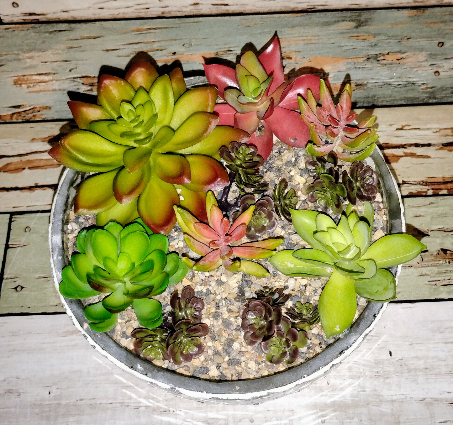 Scenic Succulent Candle in Mosaic Container