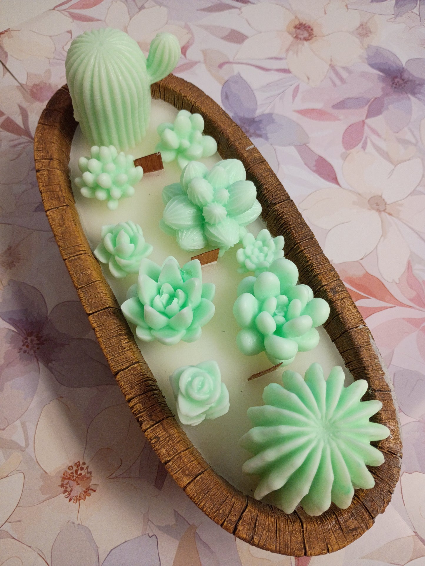 Green Velvet Woods Succulent Garden in Ceramic Bowl